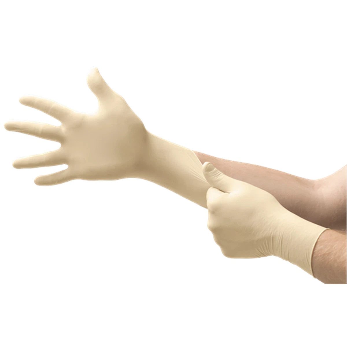 Image #3